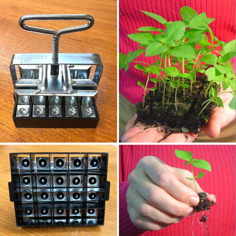 Soil Block Maker, Small