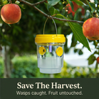 Solar Wasp Trap with LED, 2 Pack Hanging Outdoor Insect Trap for Garden