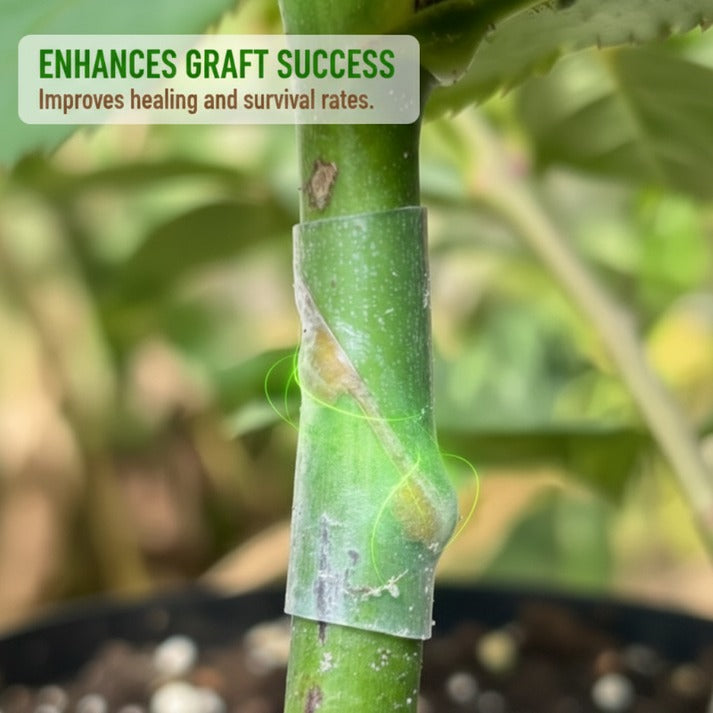 Silicone Grafting Sleeves for Fruit Trees, 50-Piece Mixed Size Set