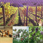 UV-resistant garden netting for birds, deer, fruit trees and vineyards