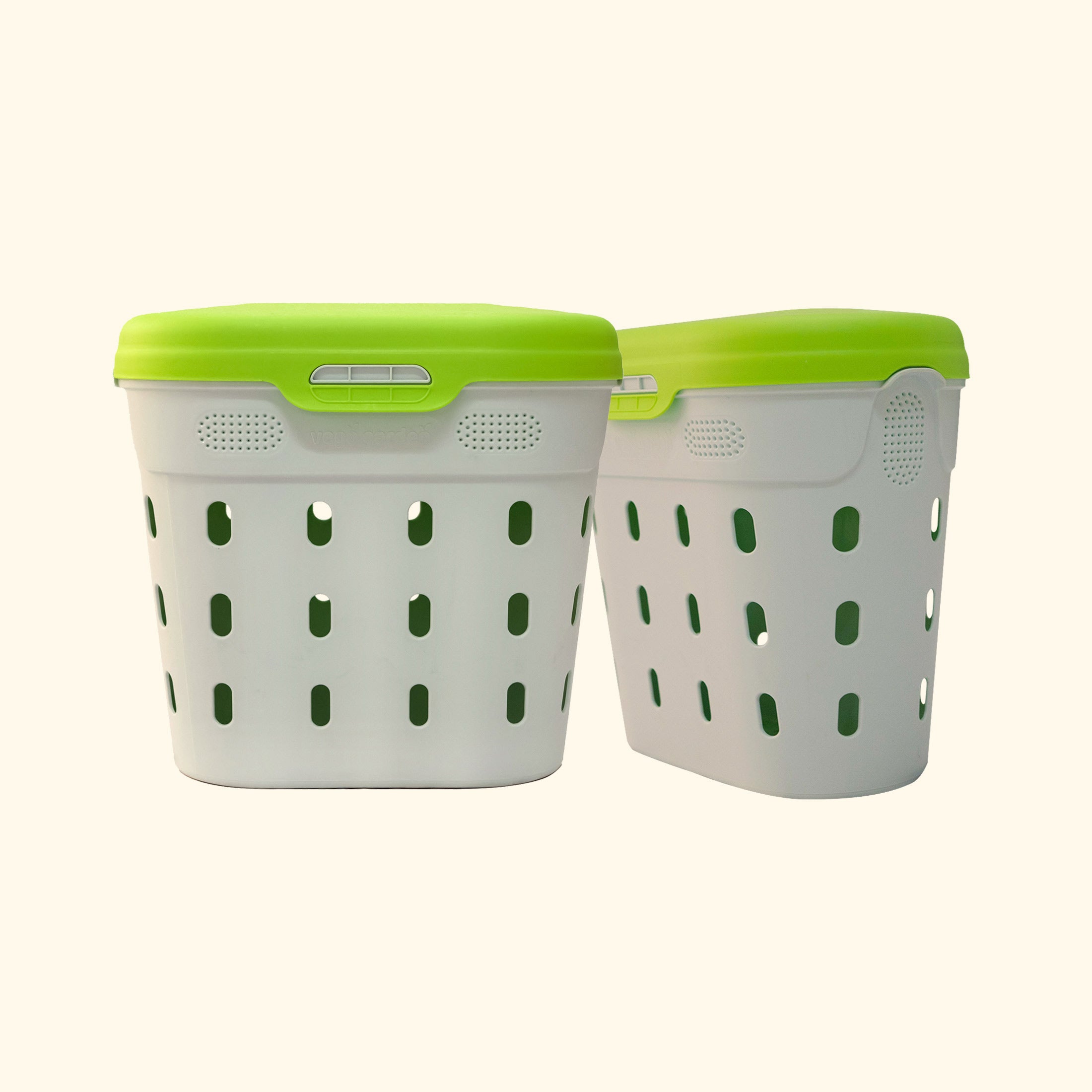 In-Ground Worm Composter Bin for Garden Beds