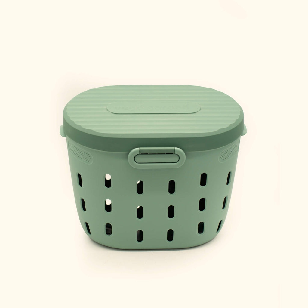 In-Ground Worm Composter Bin for Garden Beds
