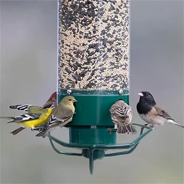 Wild birds feeding from a squirrel proof bird feeder with multiple feeding ports